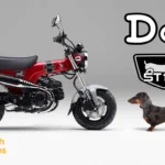DAX ST125
